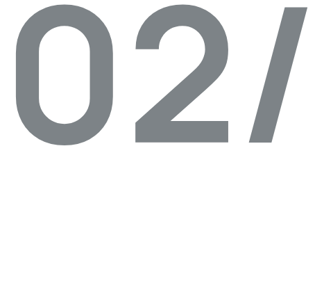 Custom LMS Development